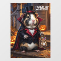 Halloween Cavia's, Kattenkostuum Trick or Wheek!