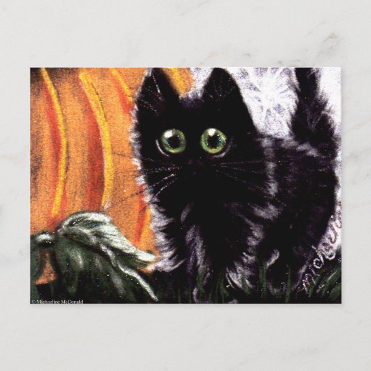 Halloween Chat Noir Qui Dat Scaredy Chat Carte Pos (Devant)