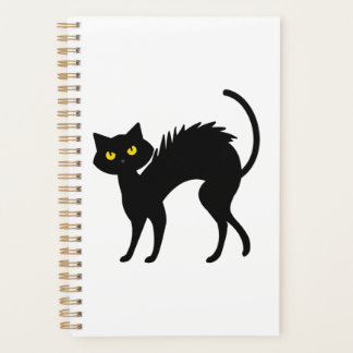 Halloween Chat Noir - T-shirt Chat Noir