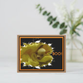 Halloween Chihuahua Flat Kaart (Staand voorkant)