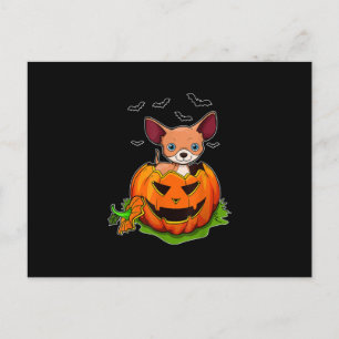 Halloween Chihuahua Hondenliefhebbers Pompoen Grun Feestdagenkaart