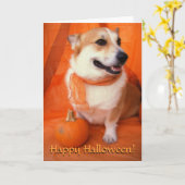 Halloween Corgi Kaart (Gele Bloem)