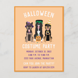 Halloween Costume Party Dogs Uitnodiging Briefkaart