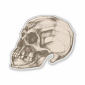 Halloween cranium vinyl sticker (Voorkant)