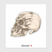 Halloween cranium vinyl sticker (Vel)