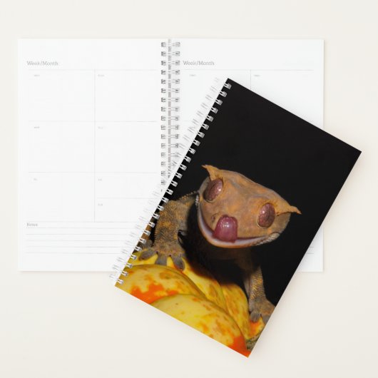 Halloween Crested Gecko (Devant avec enveloppe)