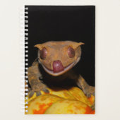 Halloween Crested Gecko Planner (Voorkant)