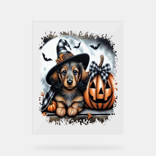 Halloween Dachshund Chien (Recto)