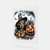 Halloween Dachshund Chien (Angle)