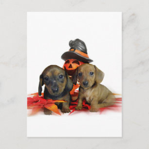 Halloween Dachshund-puppies Briefkaart