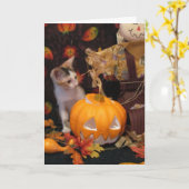Halloween d'automne - Chat / Kitten Carte Hallowee (Fleur jaune)