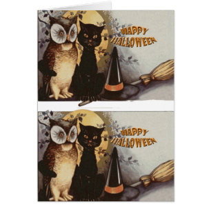 Halloween de hibou et de chat