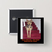 Halloween Dog en geen behandelingen Vierkante Button 5,1 Cm (Voorkant /achterkant)
