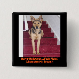Halloween Dog en geen behandelingen Vierkante Button 5,1 Cm