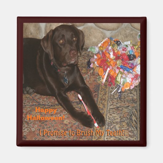 Halloween Dog met zoete tand Magneet (Voorkant)
