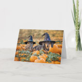 Halloween Funny met Schattigee uil en teckel Kaart (Voorkant)
