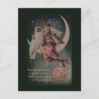  Halloween Funny owl illustratie Briefkaart