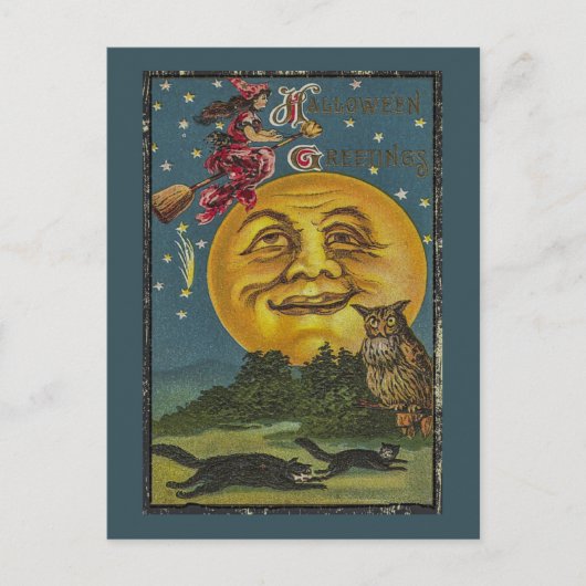  Halloween Funny Owl Illustratie Briefkaart (Voorkant)