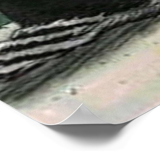 Halloween Funny Witches Trick or treat Poster (Hoek)