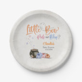 Halloween Gender onthulling Baby shower Papieren Bordje (Voorkant)