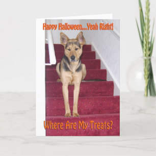 Halloween German Shepherd Dog Sad No Treatment Feestdagen Kaart