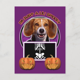 Halloween - Gewoon een Lil Spooky - Beagle Briefkaart