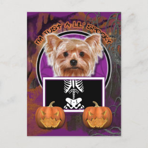 Halloween - Gewoon een Lil Spooky - Yorkie Briefkaart