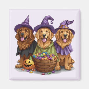 Halloween Golden Retriever Hekshonden Magneet