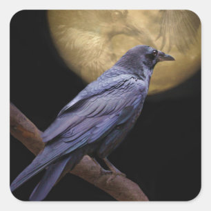 Halloween, Gothic Style Raven en Moon Vierkante Sticker