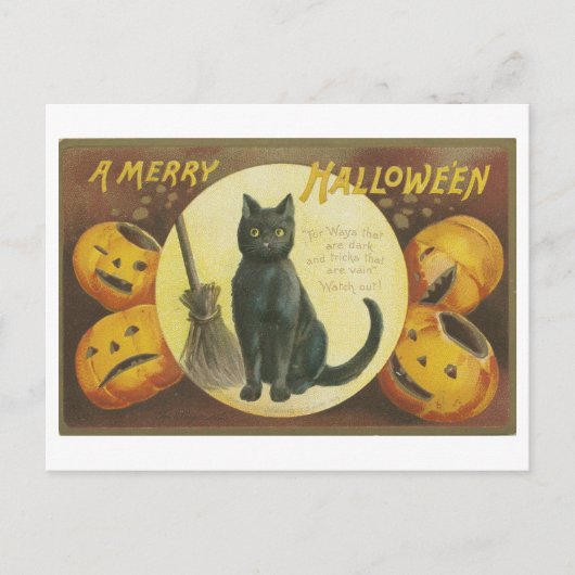  Halloween groeten met een zwarte kat Briefkaart (Voorkant)