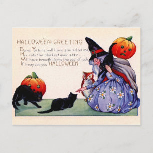 Halloween-groeten van de heks, de Owl en de Katten Briefkaart