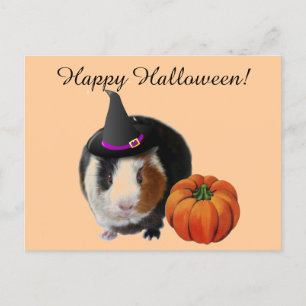Halloween Guinee Pig Briefkaart