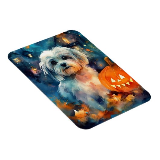 Halloween Havanese met pompoenen eng Magneet (Rechterzijde)