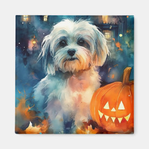 Halloween Havanese met pompoenen eng Magneet