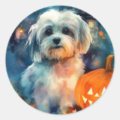Halloween Havanese met pompoenen eng Ronde Sticker (Voorkant)