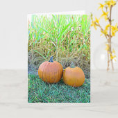 Halloween Herfst Pumpkins Kaart (Gele Bloem)