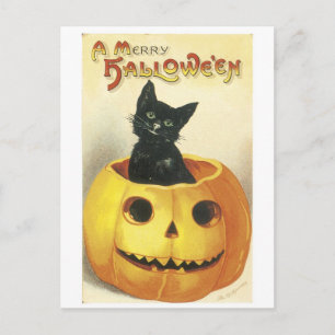 Halloween Jack-o'-lantaarn, ouderwetse kat Briefkaart