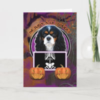 Halloween - Just a Lil Spooky - Cavalier - TriColo