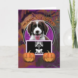 Halloween - Just a Lil Spooky - Springer Spaniel Kaart
