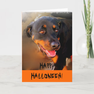 HALLOWEEN. KAART