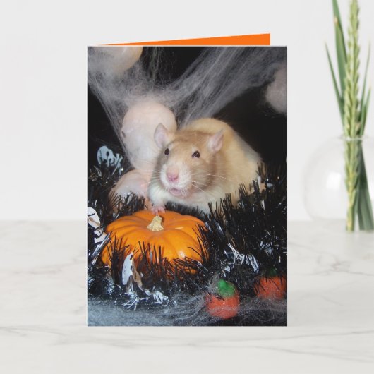 Halloween-kaart Kaart (Voorkant)