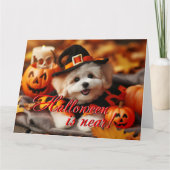 Halloween kaart Maltipoo hond (Voorkant)