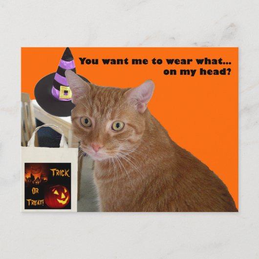 Halloween Kat - Draag wat Briefkaart (Voorkant)