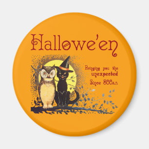  Halloween Kat en Uil Magnet Magneet