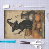 Halloween kat met heks Pet pompoen decoupage Tissuepapier (Craft)