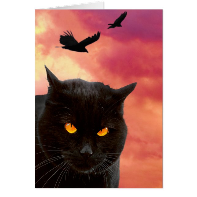 Halloween Kattengezicht (Voorkant)