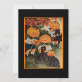  Halloween kinder zwarte katten en pompoenen (Voorkant)