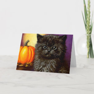 Halloween kitten