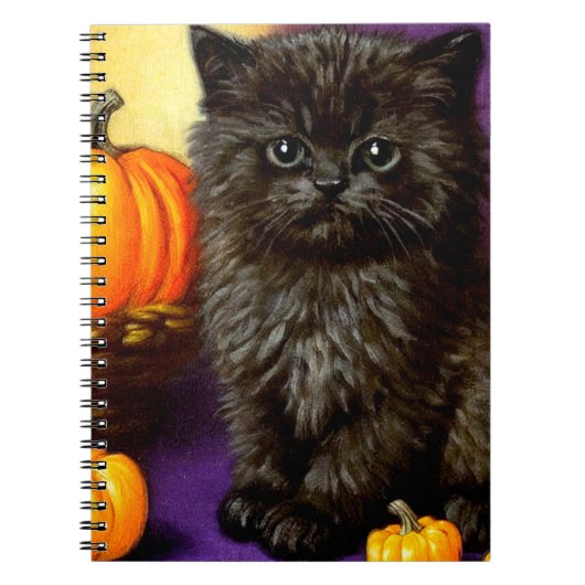 Halloween kitten Notitieboek (Voorkant)