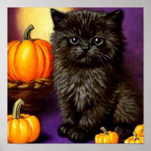  Halloween kitten Poster